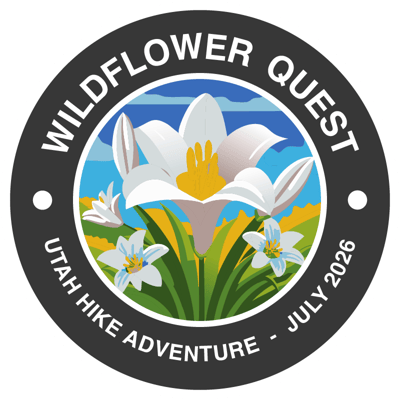 Wildflower Quest 